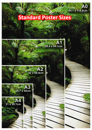 Standard Poster Sizes